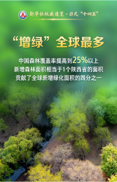 綠色，成為當代中國鮮明底色