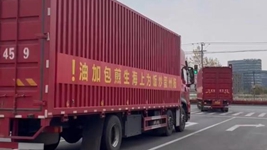 那只“跳進(jìn)”愛(ài)心蔬菜包的手機咋樣啦？請聽(tīng)刷屏“奇遇”后續……