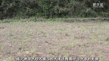 曾經(jīng)被“遺棄”的它們 搬到新家啦！