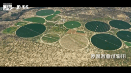 衛星見(jiàn)證，荒漠變綠洲