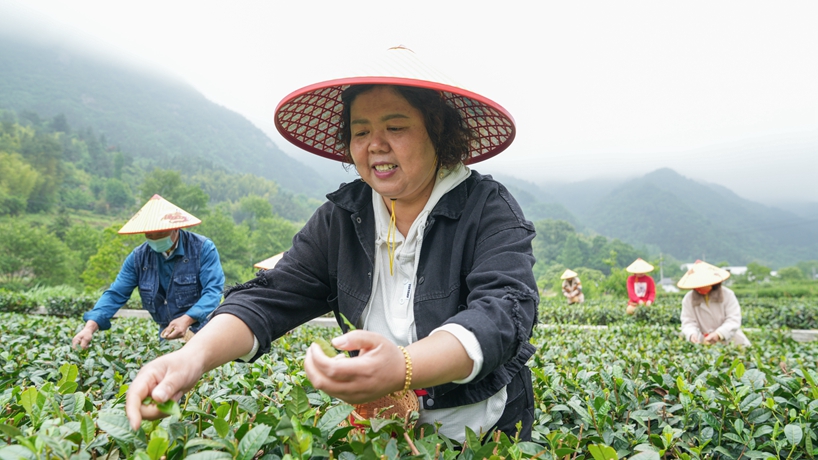 守“綠”換“金”！大別山區“兩山”實(shí)踐創(chuàng  )新基地觀(guān)察