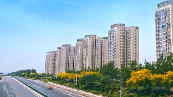 縣域數字化如何走出特色之路？