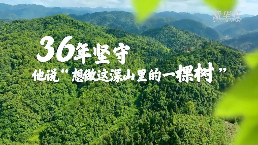 36年堅守！他說(shuō)“想做這深山里的一棵樹(shù)”