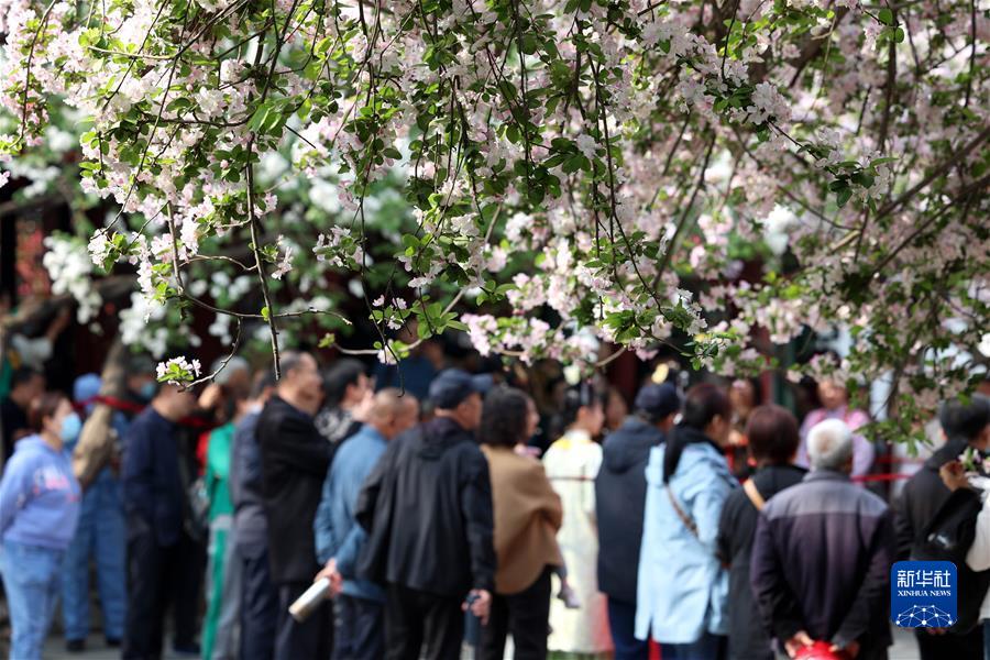 #（社會(huì )）（1）擁抱春天 樂(lè )享春光