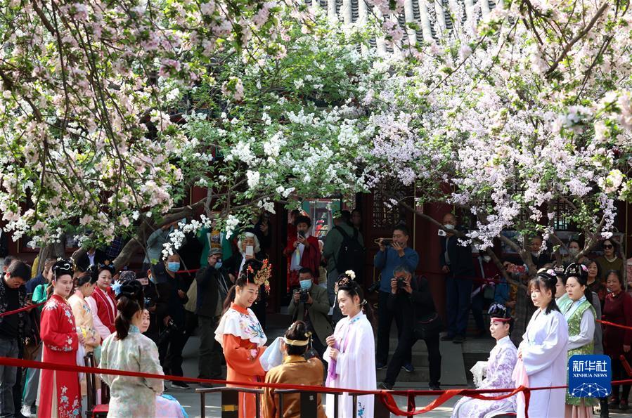 #（社會(huì )）（2）擁抱春天 樂(lè )享春光