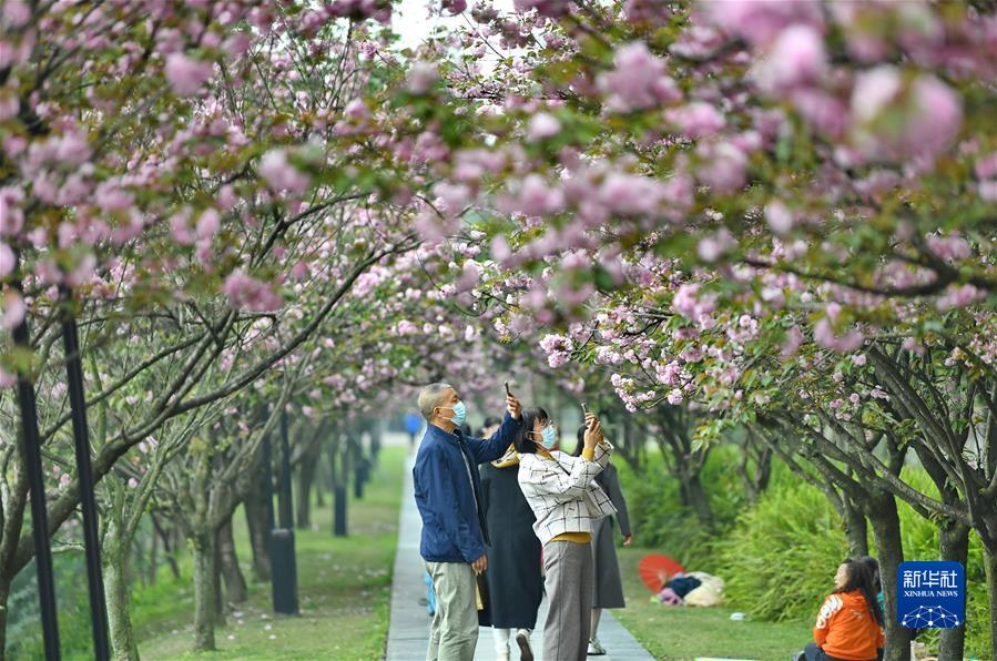 #（社會(huì )）（4）擁抱春天 樂(lè )享春光