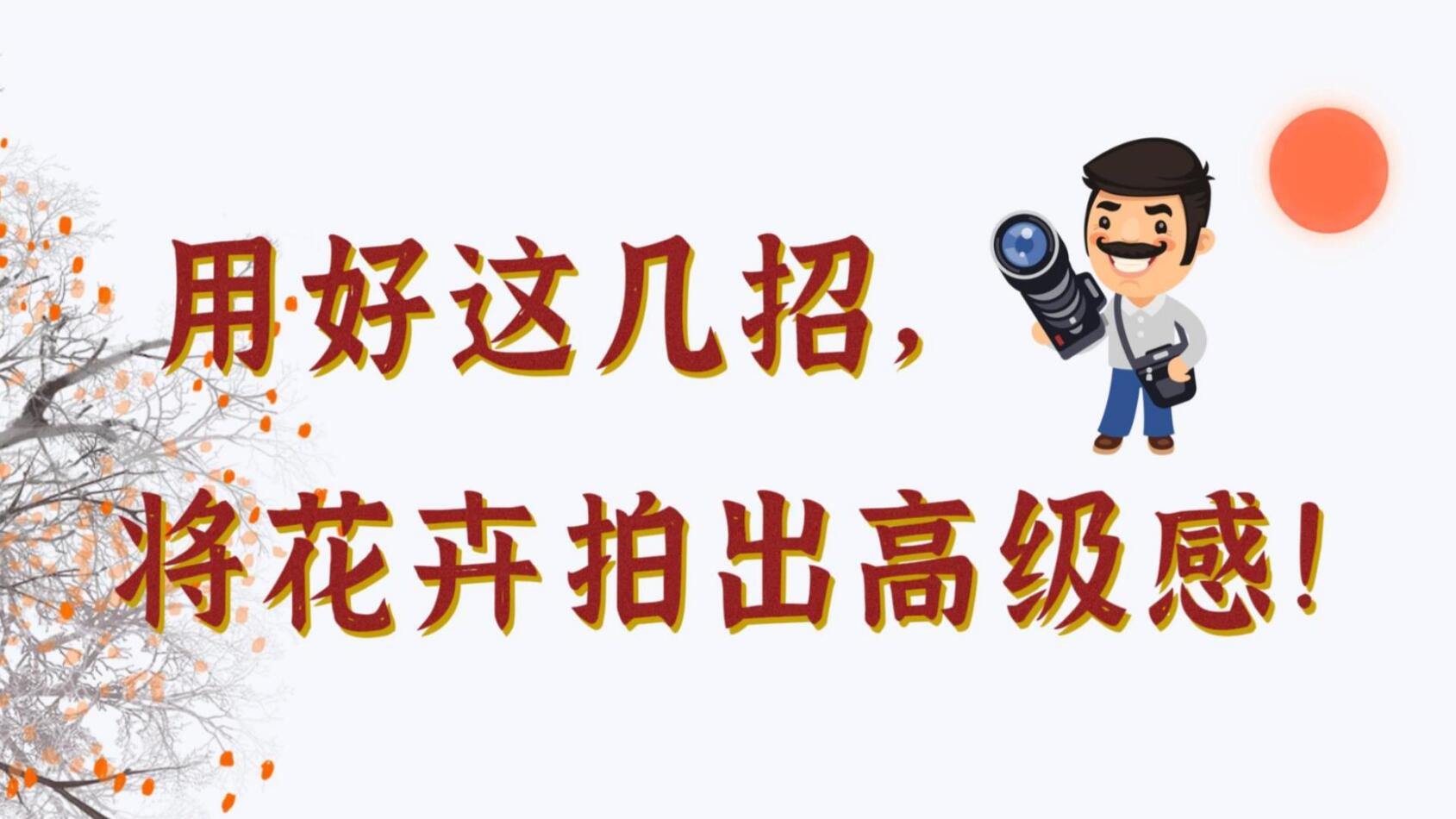 【光影輕課堂】用好這幾招，將花卉拍出高級感！