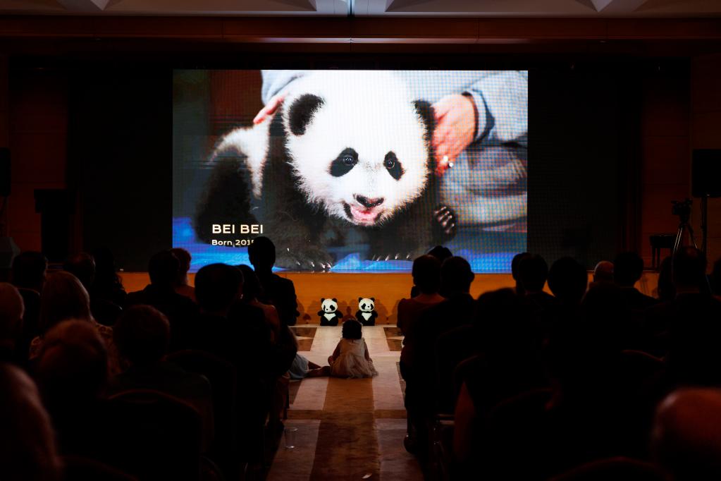 中國駐美使館同美國史密森學(xué)會(huì )國家動(dòng)物園聯(lián)合舉辦“大熊貓之夜”招待會(huì )
