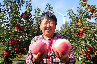 新華全媒+丨糧果豐收在望，農民喜上心頭