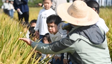 農場(chǎng)里的幼兒自然課