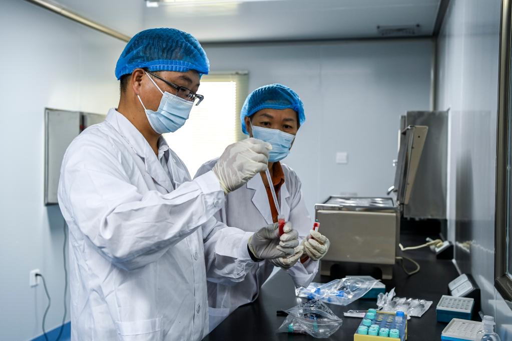 廣西興業(yè)：科技特派員送技下鄉助力鄉村振興