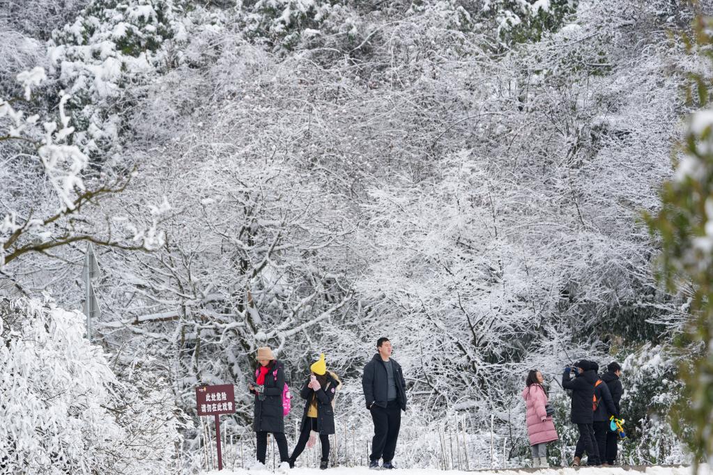 重慶：冰雪經(jīng)濟催動(dòng)金佛山冬季旅游實(shí)現“開(kāi)門(mén)紅”