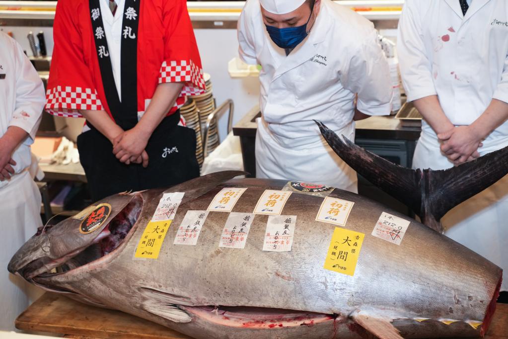 日本“大間金槍魚(yú)”連續11年贏(yíng)得新年首拍最高價(jià)