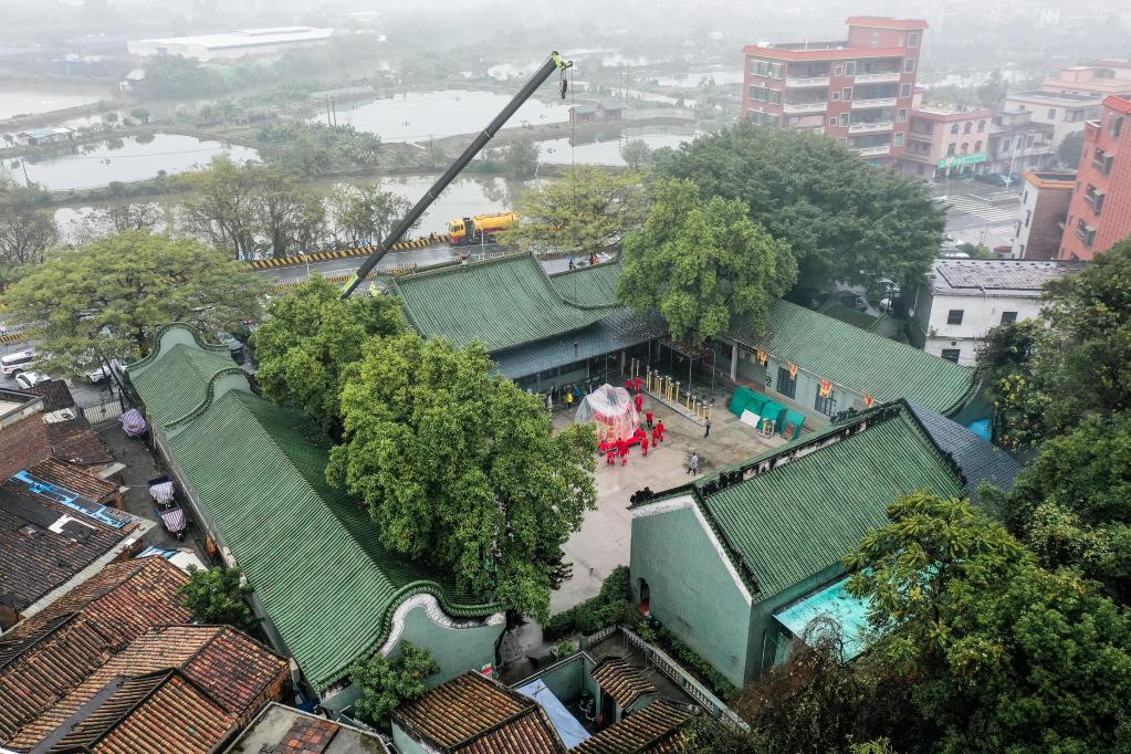 新華全媒+丨體育地理丨天下醒獅，皆出南海