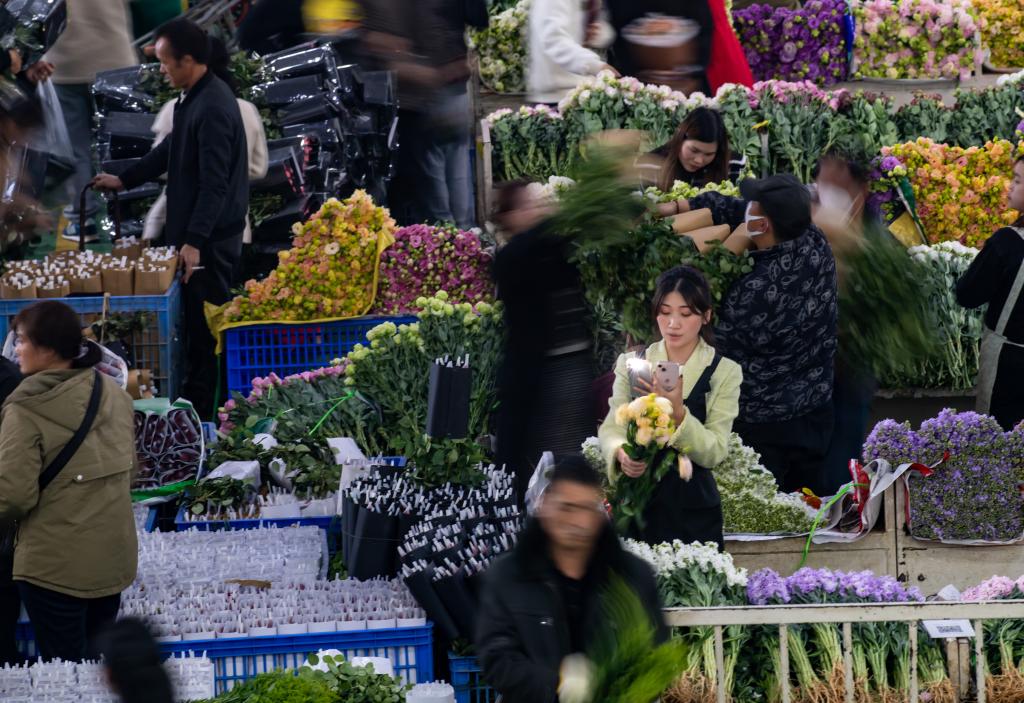 新華全媒+丨跟著(zhù)主播逛花都