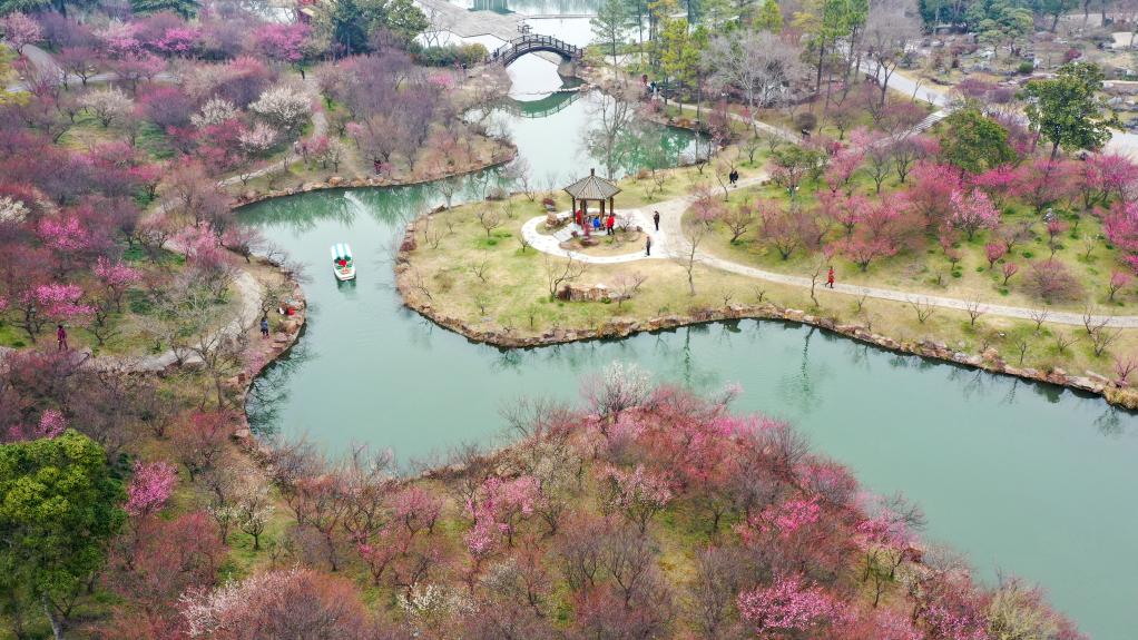 踏青賞花 樂(lè )享春光