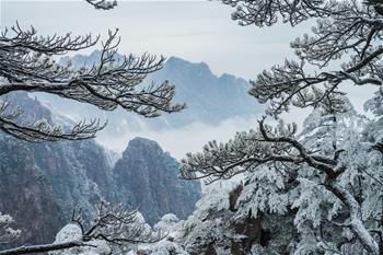 鏡觀(guān)中國·新華社國內新聞?wù)掌恢芫x