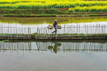 湖南常寧:特色養殖助增收