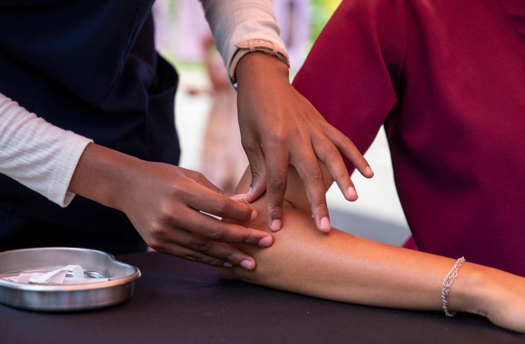 南非約翰內斯堡大學(xué)舉辦中醫推廣活動(dòng)