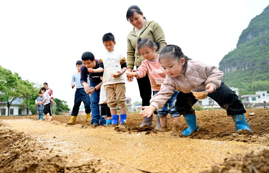 廣西柳州：體驗農耕文化 感受田間樂(lè )趣