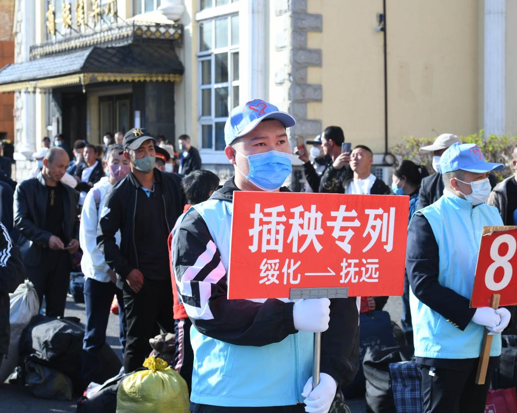 新華全媒＋丨“大糧倉”黑龍江省連續24年開(kāi)行“插秧專(zhuān)列”