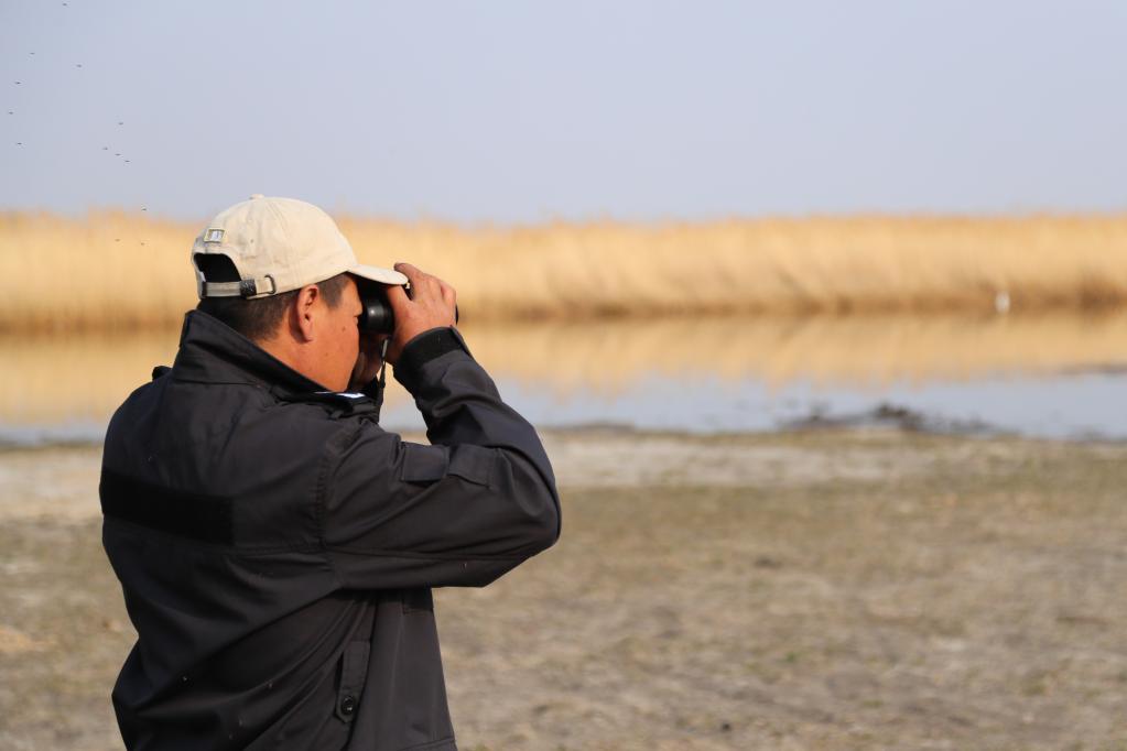 新華全媒+丨濕地管護站的“候鳥(niǎo)爸爸”