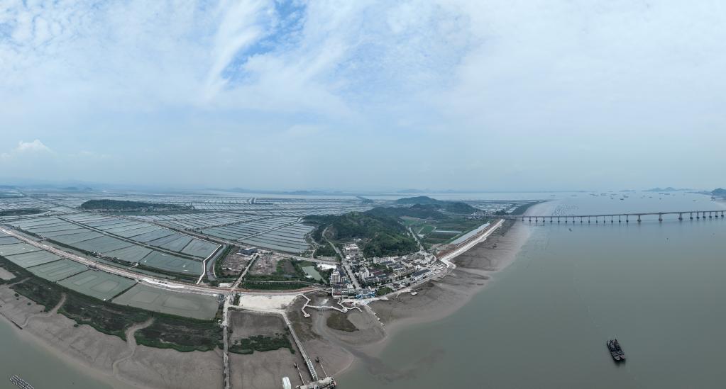 “千萬(wàn)工程”調研行丨浙江三門(mén)：蛇蟠島上譜新篇