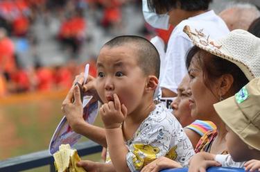 龍舟“村賽” 一水同舟解鄉愁