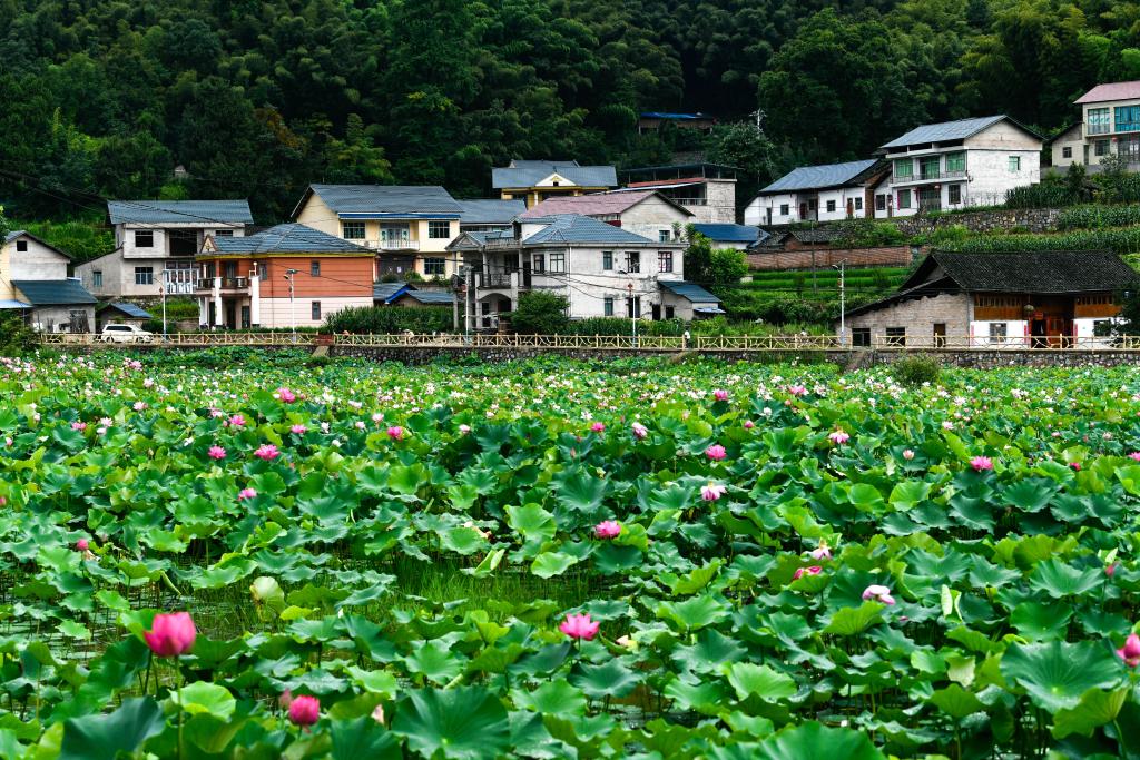 貴州岑鞏：人居環(huán)境整治 扮靚美麗鄉村