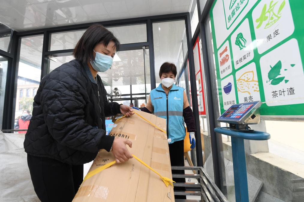 從山頂到海洋，浙江生態(tài)持續向好