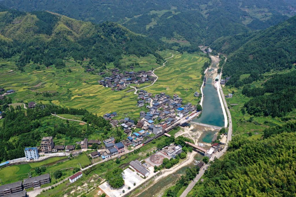 粵桂協(xié)作 助力鄉村振興