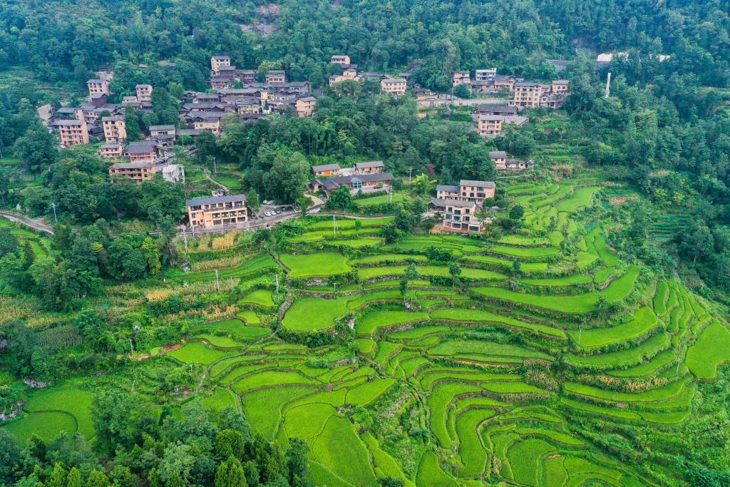 重慶酉陽(yáng)：農文旅融合讓鄉村煥發(fā)新活力