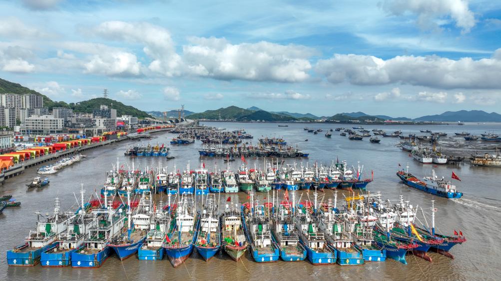 “?？?rdquo;逼近 浙江各地漁船回港避風(fēng)