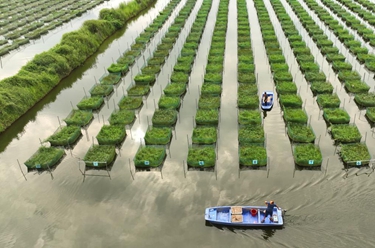 湖南衡陽(yáng)：特色養殖助農增收