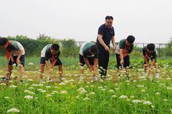 山東樂(lè )陵：多彩課程促成長(cháng)