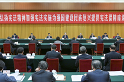 趙樂(lè )際出席“弘揚憲法精神，加強憲法實(shí)施，為強國建設、民族復興提供憲法保障”座談會(huì )并講話(huà)