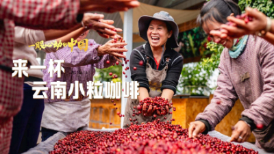 一眼心動(dòng)的中國丨來(lái)一杯云南小?？Х?></a> <span><img src=