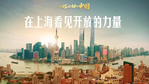 一眼心動(dòng)的中國丨在上?？匆?jiàn)開(kāi)放的力量