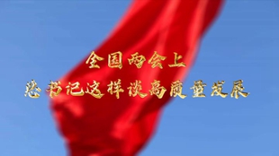 兩會(huì )上，總書(shū)記這樣談高質(zhì)量發(fā)展