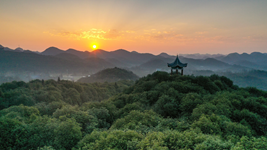提升生態(tài)碳匯能力，植樹(shù)造林怎么干？