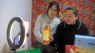 王穎：做 “有情懷，會(huì )妙招，富鄉親”新時(shí)代返鄉新農人
