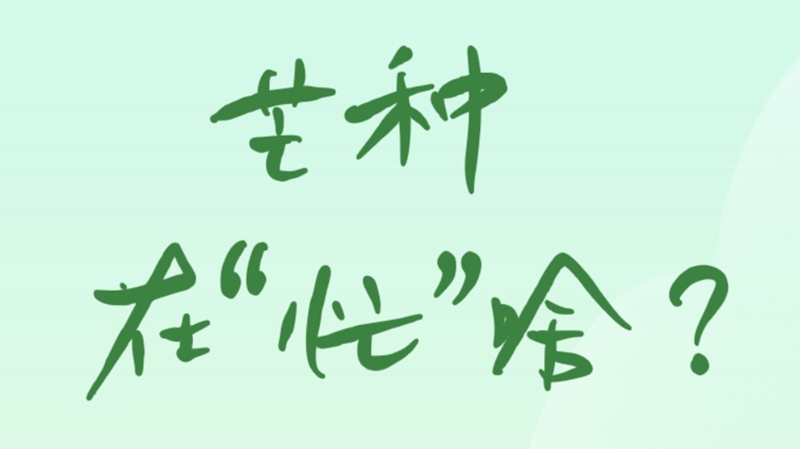芒種在“忙”啥？
