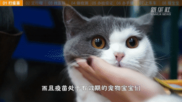 帶萌寵坐火車(chē)？你需要知道這些事！