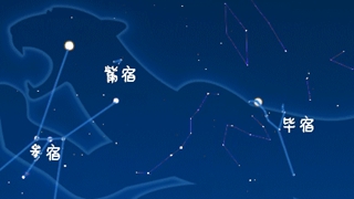 虎年來(lái)了，抬頭尋找天上的“白虎”