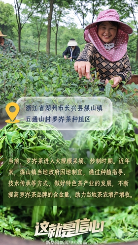 這就是信心丨應季收獲忙！看田間地頭上的增收新路子