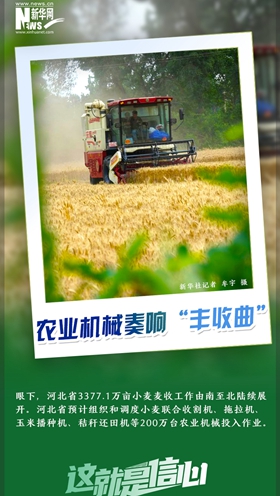 這就是信心｜好一派豐收景象！