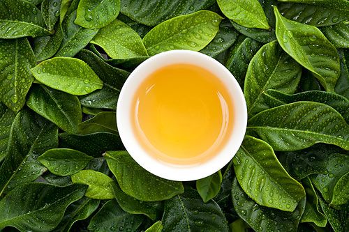 茶安全• 追蹤茶葉農殘問(wèn)題真相