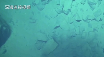 8919米！我國科學(xué)家首次探底雅浦海溝 成功采集深淵樣本
