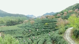 萬(wàn)象“耕”新！碼住人間四月天